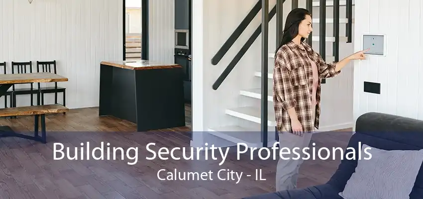 Building Security Professionals Calumet City - IL