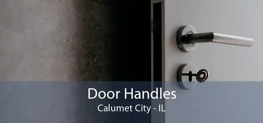 Door Handles Calumet City - IL