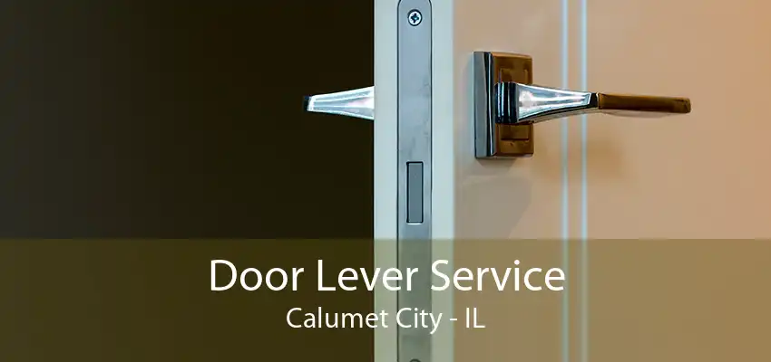 Door Lever Service Calumet City - IL