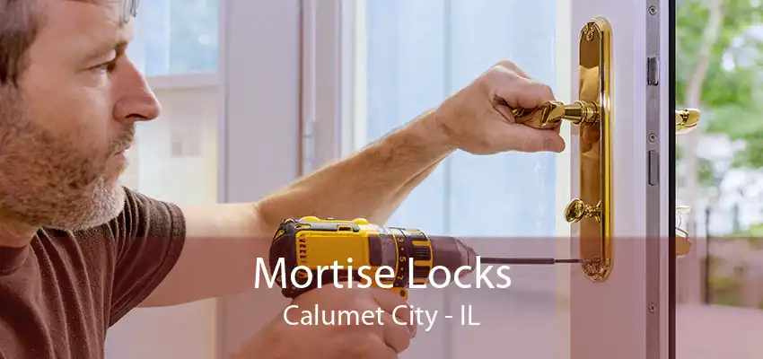 Mortise Locks Calumet City - IL