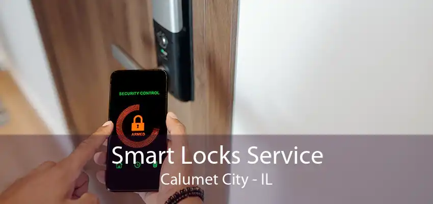 Smart Locks Service Calumet City - IL