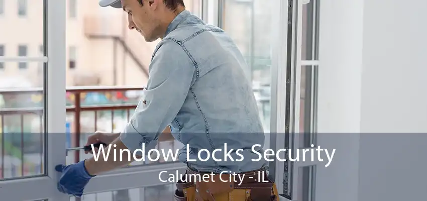 Window Locks Security Calumet City - IL